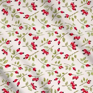 Meterware Wild Rosehip Branches