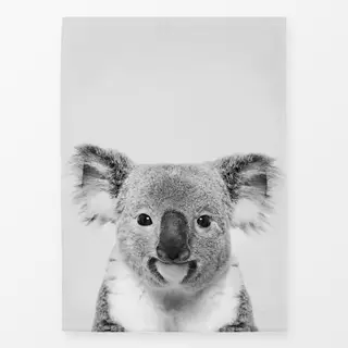 Geschirrtücher Koala