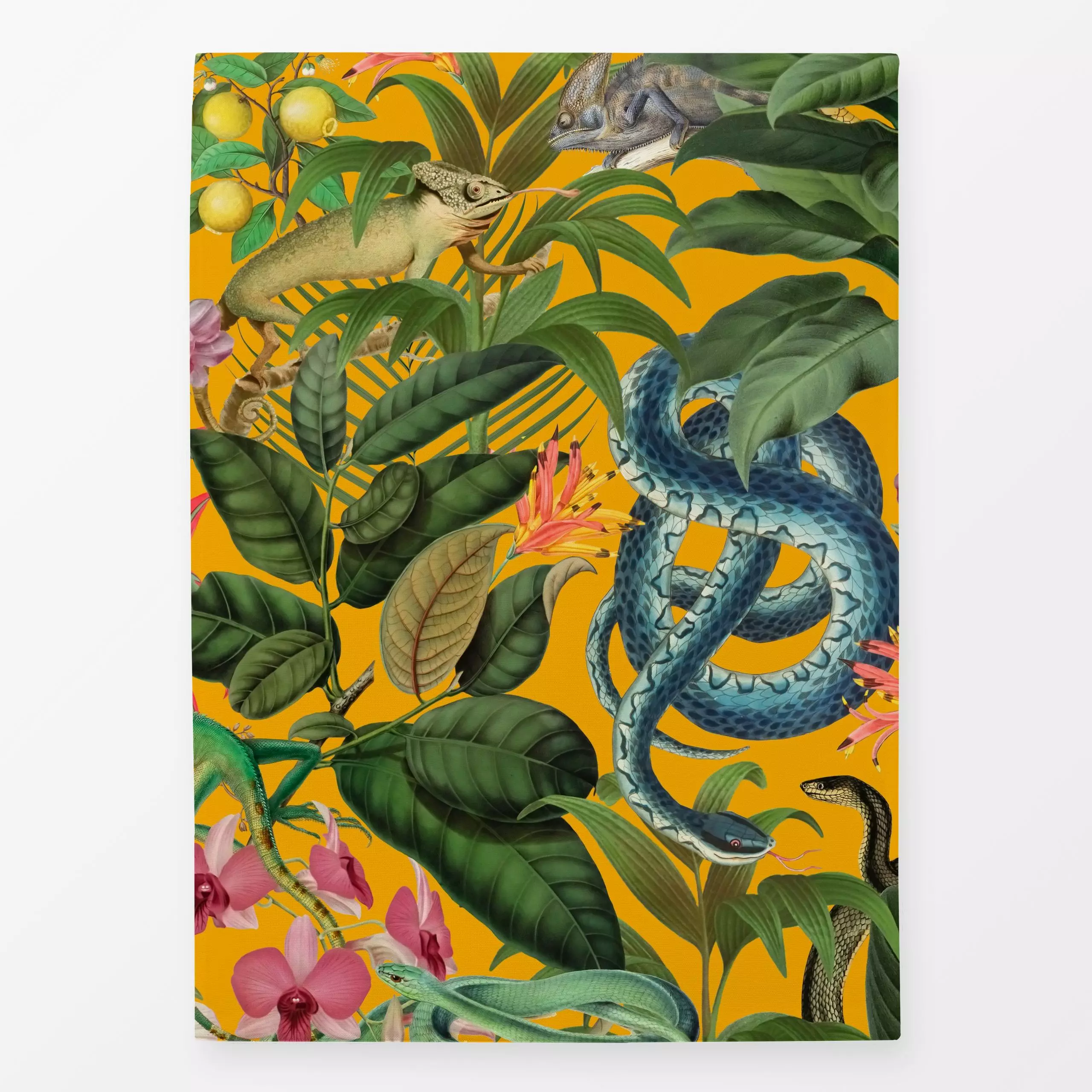 Geschirrtücher Im Reptilien-Paradies - Natur & Landschaft, Sommer, Tiere - von „Andrea Haase"; Natur, exotisch, floral, bota...