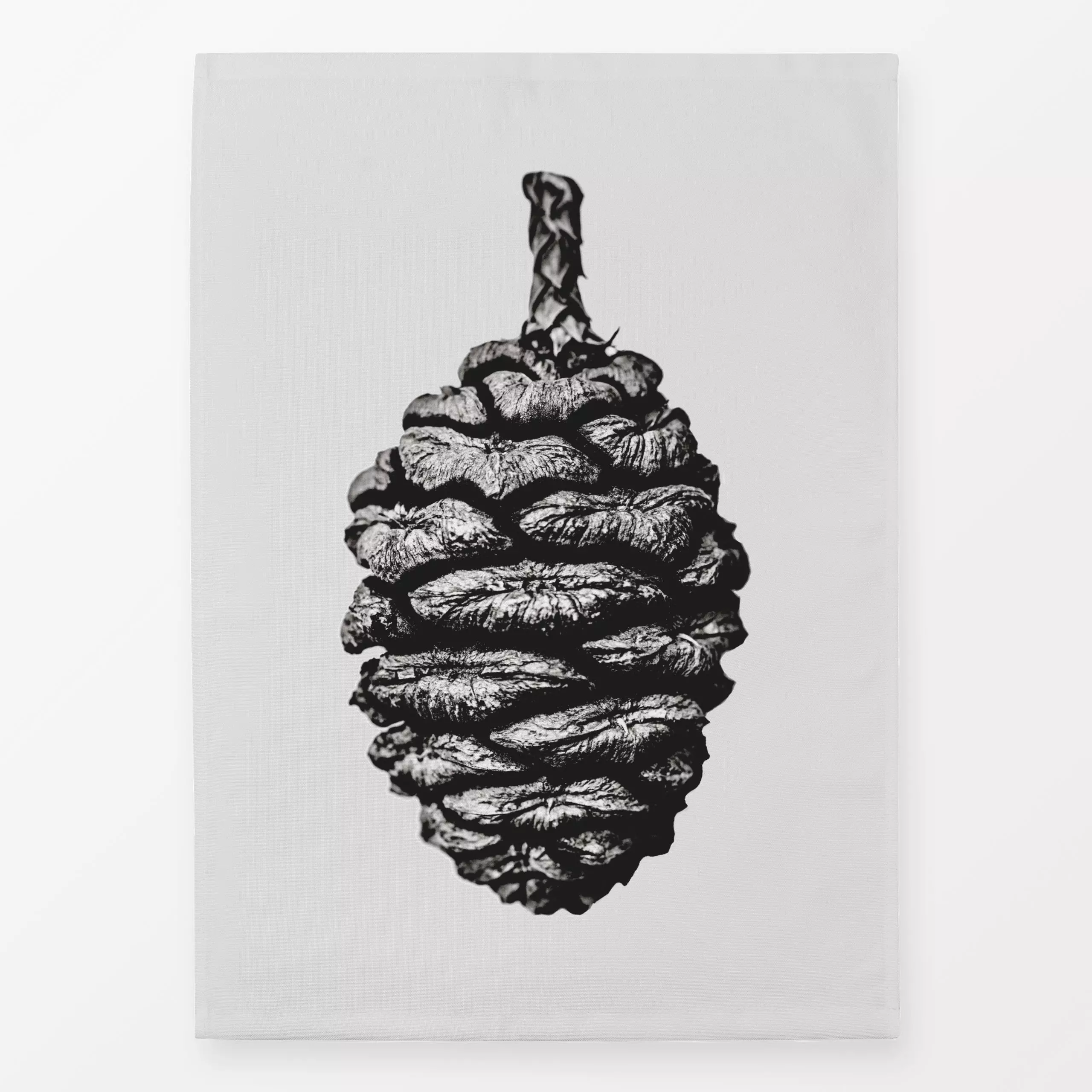 Geschirrtücher Big Pine Cone - Winter, Pflanzen & Botanik - von „Mareike Böhmer"; minimal, Tannenzapfen, Weihnachtsbaum, Wei...