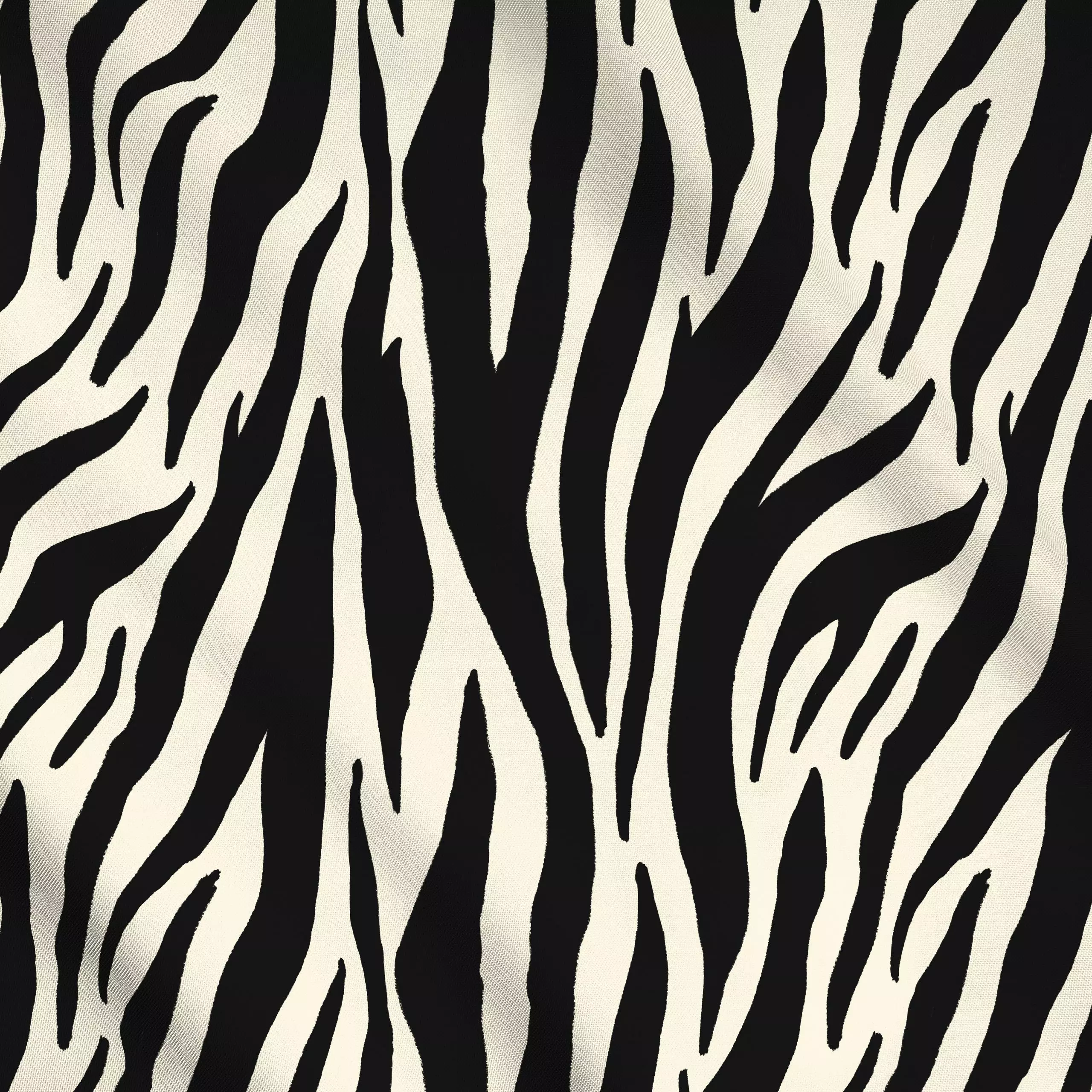 Meterware Zebra, Tiere, gemustert, Sommer, von Sabrina Ziegenhorn