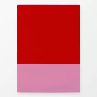Geschirrtuch Color Blocking Rot Rosa