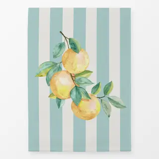 Geschirrtücher Orangen icy morn Streifen