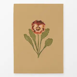 Geschirrtücher Landliebe Stiefmütterchen