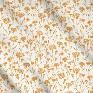 Meterware Kornblumen orange