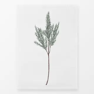 Geschirrtücher Wacholder