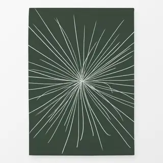 Geschirrtücher Kiefer Stern