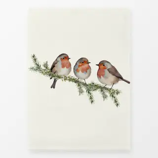 Geschirrtücher Rotkehlchen Robin Vögel Creme