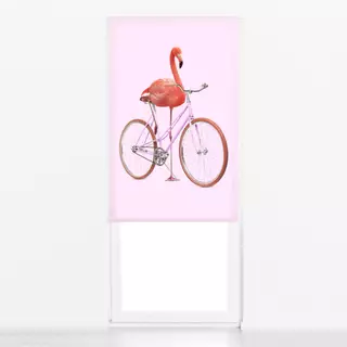 Raffrollo Flamingo Bike