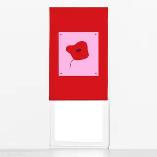 Raffrollo Poppy in a Frame