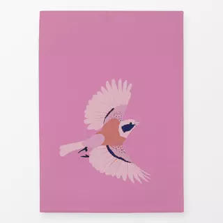 Geschirrtücher Vogel Rosa