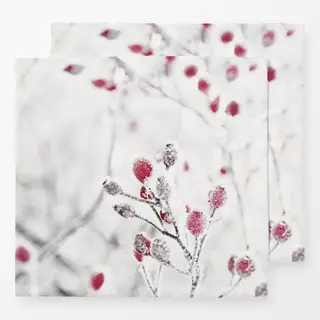 Servietten Hagebutten Winter