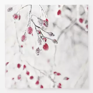 Tischdecke Hagebutten Winter