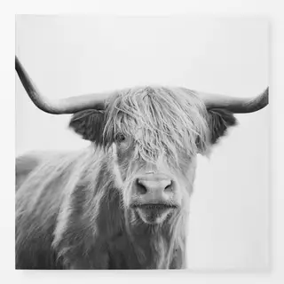 Tischdecke Highland cow