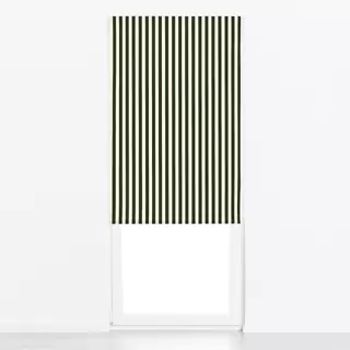 Raffrollo Grüne Streifen
