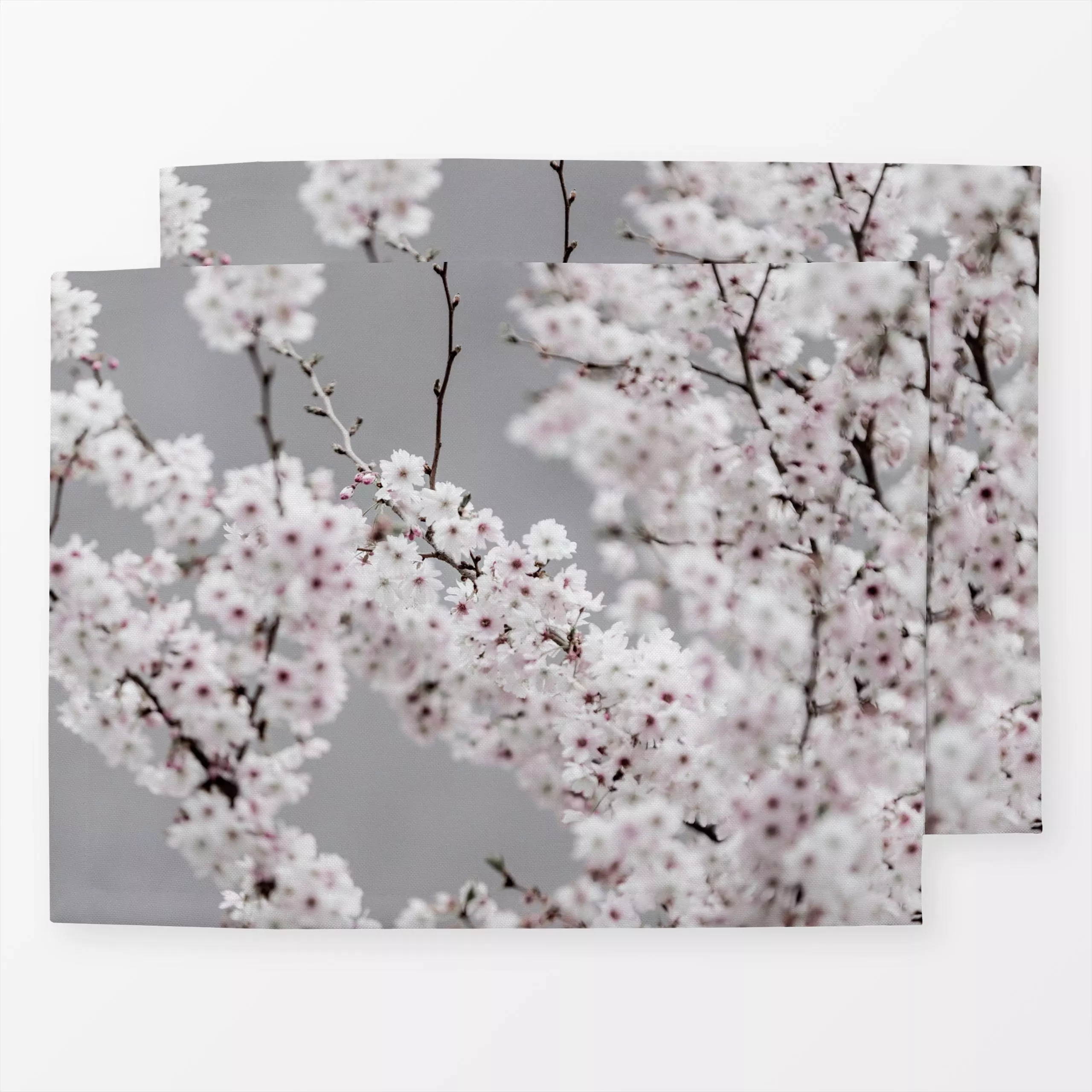 Tischset Colorful Spring 6 - Frühling, Pflanzen & Botanik - von „Mareike Böhmer"; Bäume, Zweige, Blüten, spring