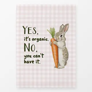 Geschirrtücher Du kannst es nicht haben