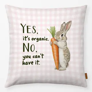 Kissen Du kannst es nicht haben