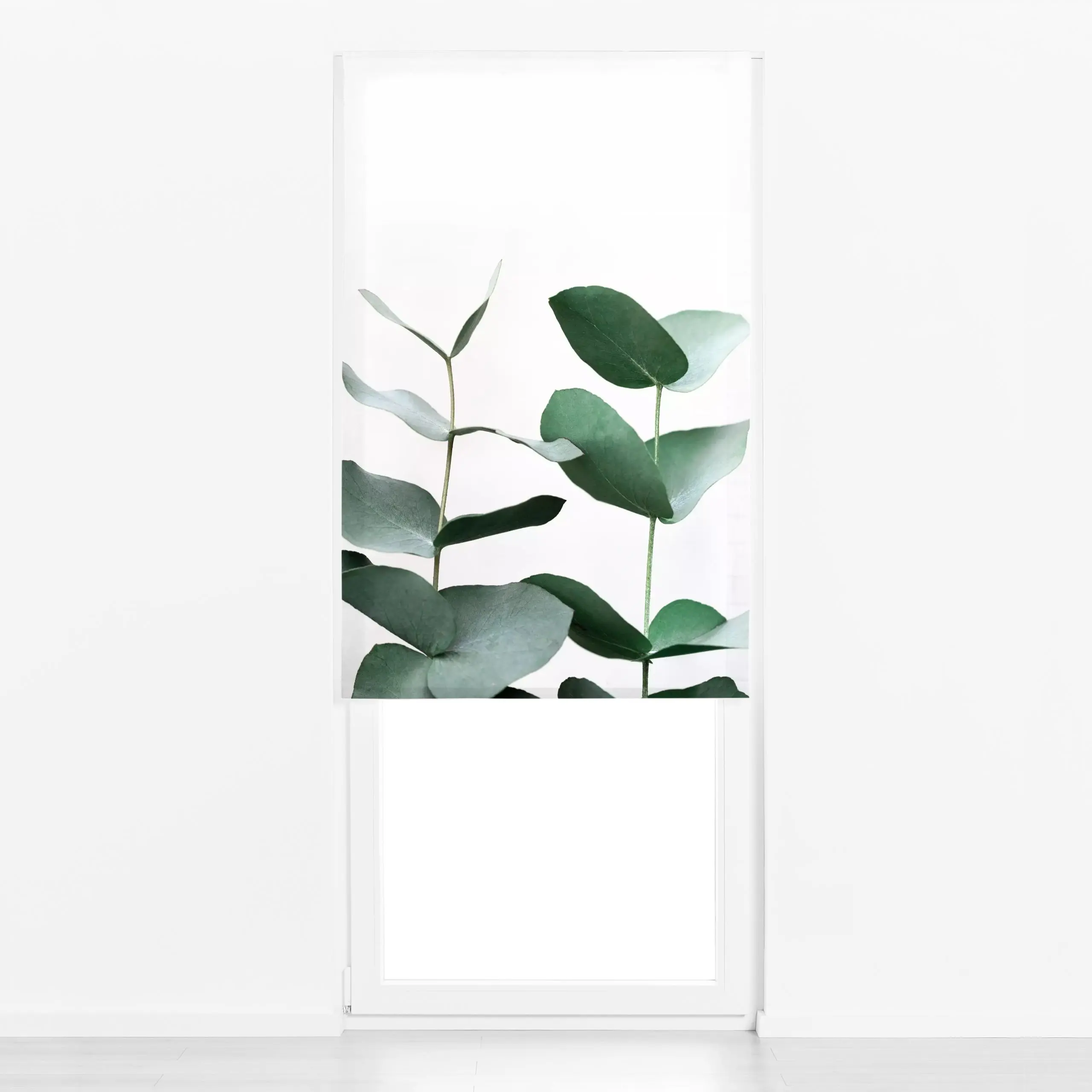 Raffrollo Eucalyptus 5 - Pflanzen & Botanik - von „Mareike Böhmer"; Natur, Blätter, Pflanzen, Eukalyptus, botanik, frisch, g...