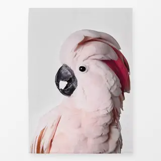 Geschirrtücher Pink Cockatoo