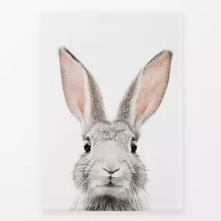 Geschirrtücher Bunny Face