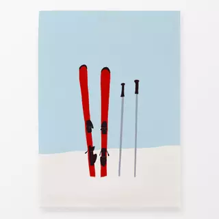 Geschirrtücher Skier