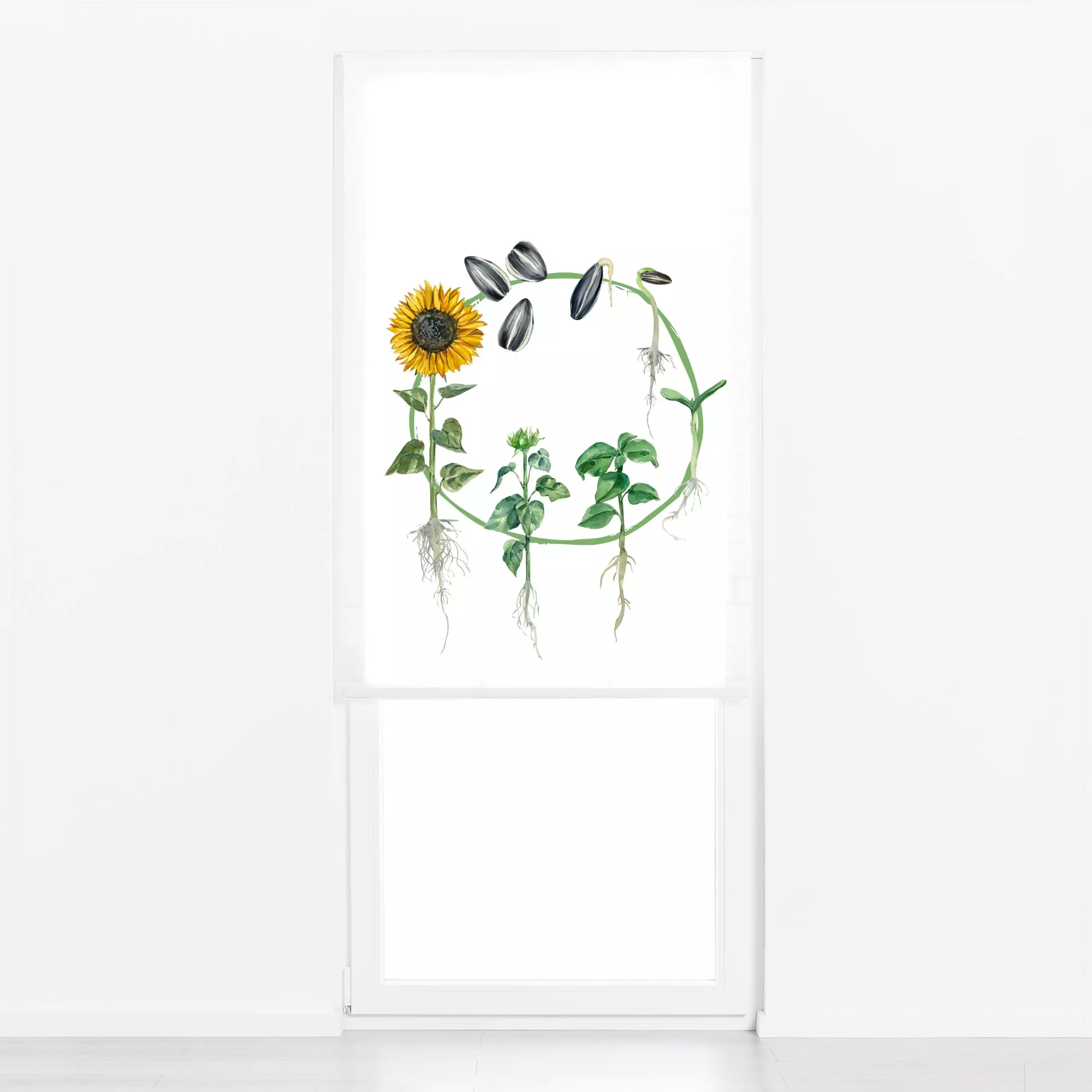 Raffrollo Lebenszyklus Sonnenblume - Sommer, Pflanzen & Botanik - von „Uta Naumann"; boho, Wasserfarben, Natur, Blumen, Gart...