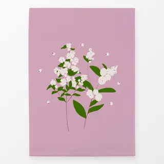 Geschirrtücher Schneebeere Rosa