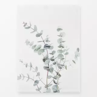 Geschirrtücher Botanical