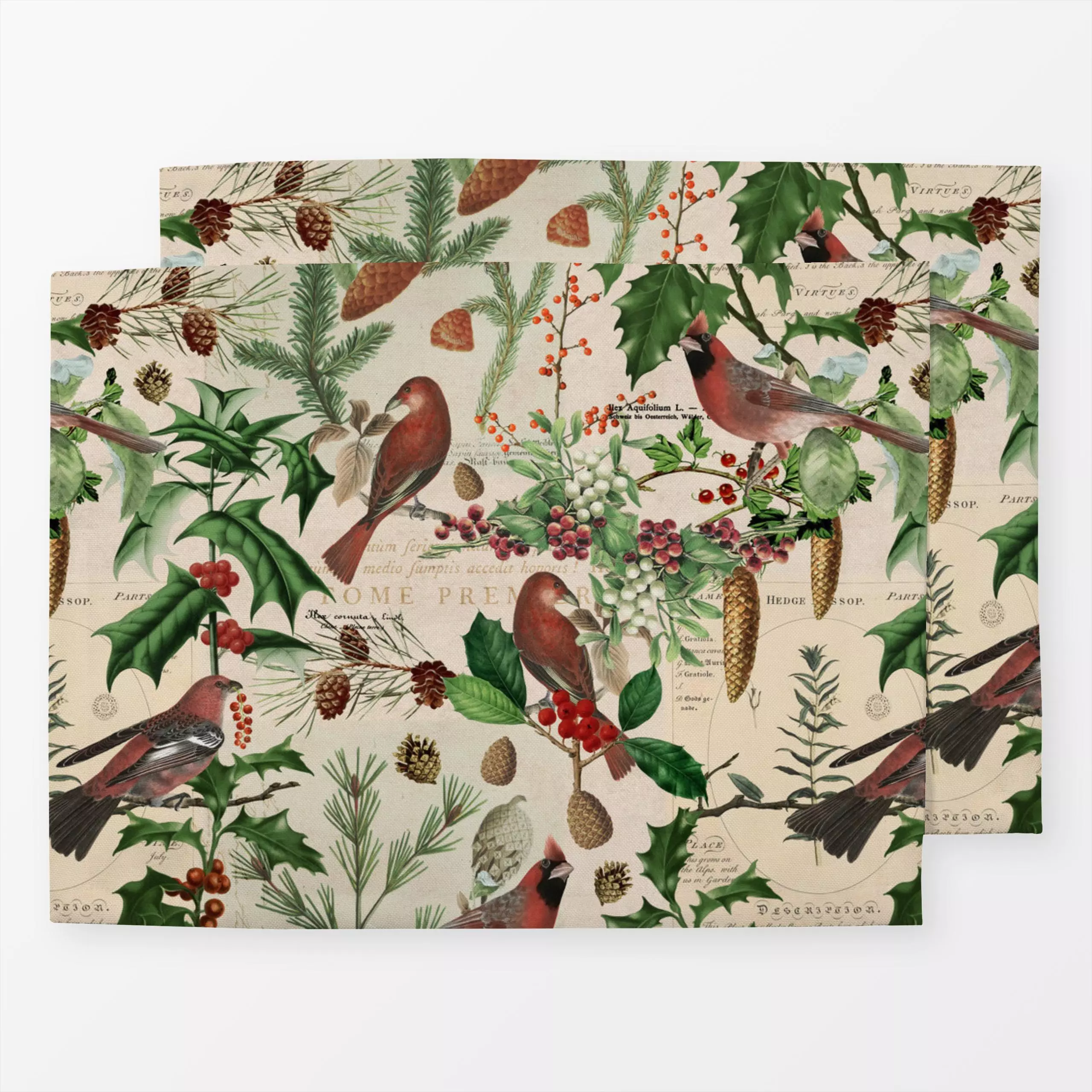 Tischset Nostalgische Wintervögel - Tiere, Winter, Pflanzen & Botanik - von „Andrea Haase"; Tanne, Beeren, Vogel, Tannenzapf...
