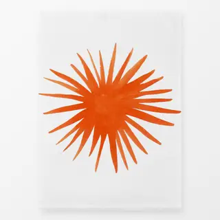 Geschirrtücher Sonne Sommer