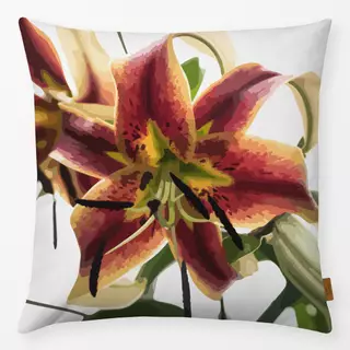 Kissen Botanica Floral Lily