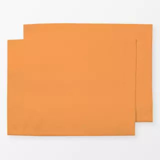 Tischset colors Orange Botanics