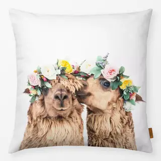Kissen Alpacas with Corollas