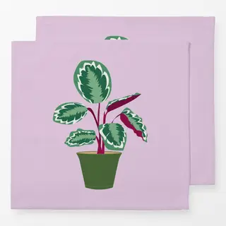 Servietten Calathea Zimmerpflanze