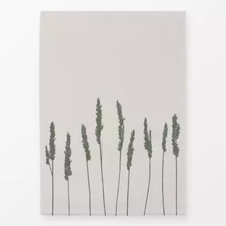 Geschirrtücher Strandhafer Grün Hell