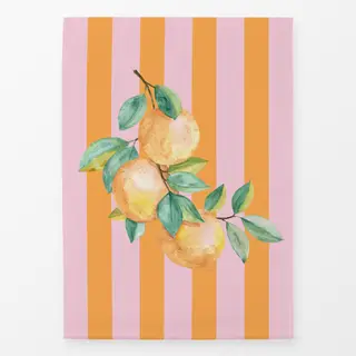 Geschirrtücher Orangen pink orange Streifen