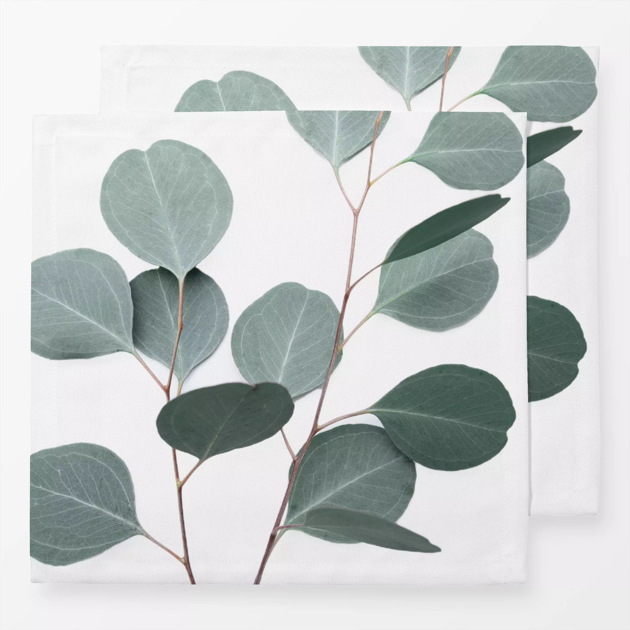 Servietten Silver Leaf - Blumen & Florales, Natur & Landschaft, Pflanzen & Botanik - von „Sisi and Seb"; Blatt, Eukalyptus, ...