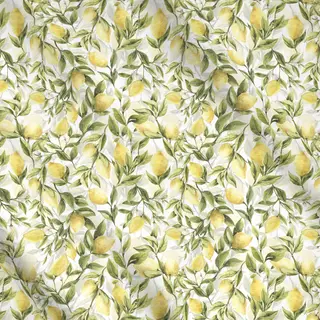 Meterware Zitronen Sorbet