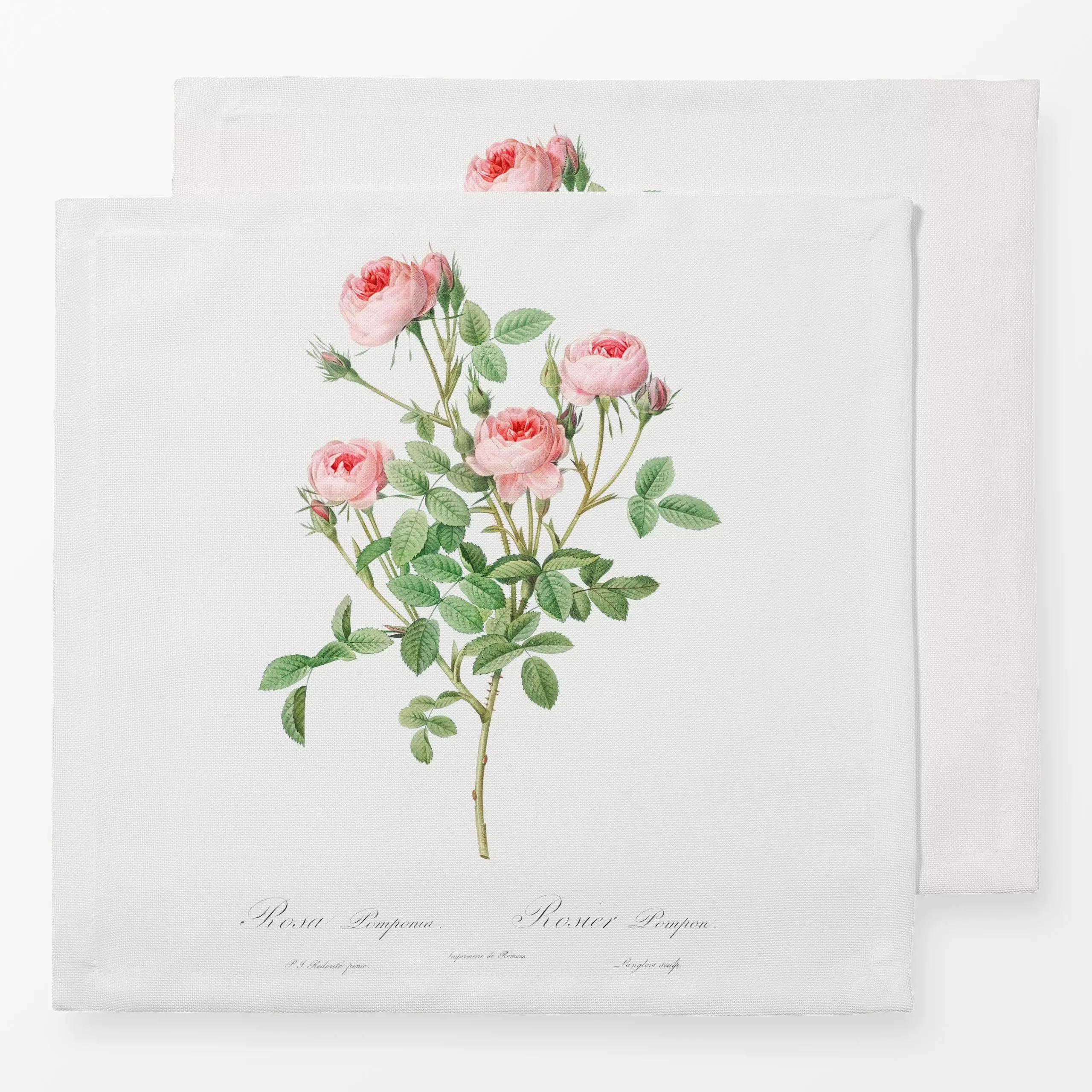 Servietten Antike Sommer Rosen - Sommer, Pflanzen & Botanik, Retro & Vintage - von „Uta Naumann“; Natur, Blumen, Blätter, Ro...