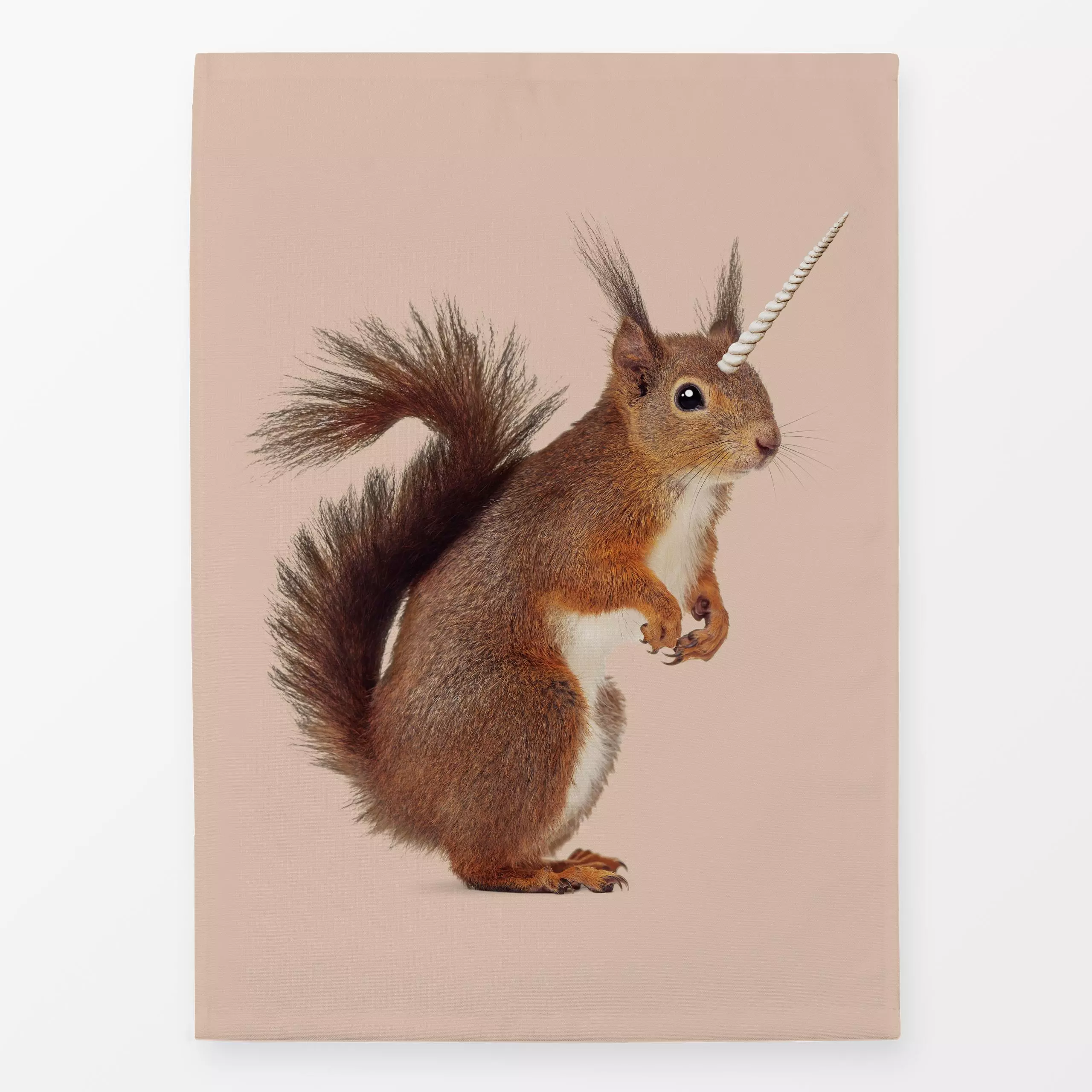 Geschirrtücher Einhörnchen - Tiere - von „Jonas Loose"; Eichhörnchen, Einhorn