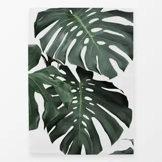 Geschirrtücher Monstera Part 2