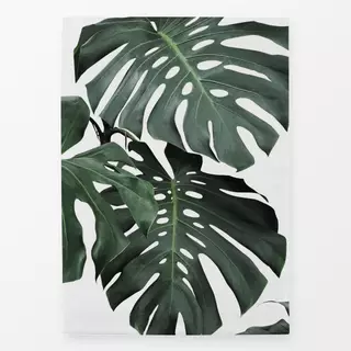 Geschirrtuch Monstera Part 2