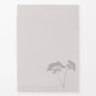 Geschirrtücher Wilde Möhre Pur Grau Hell