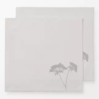 Servietten Wilde Möhre Pur Grau Hell