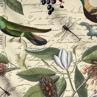 Meterware Vögel im Magnolien Garten