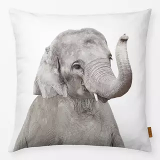 Kissen Baby Elephant