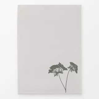 Geschirrtücher Wilde Möhre Pur Grün Hell