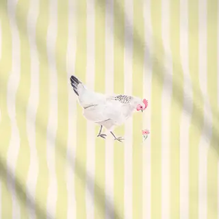 Meterware Huhn gestreift gelb