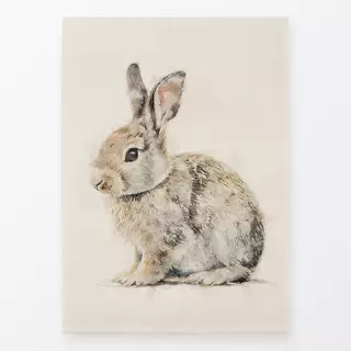 Geschirrtücher Little Bunny